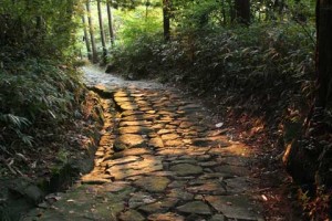 Nakasendo Way in sunlight