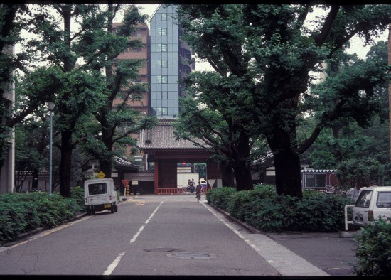 The University of Tokyo