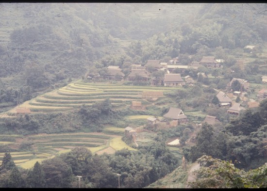 Agriculture