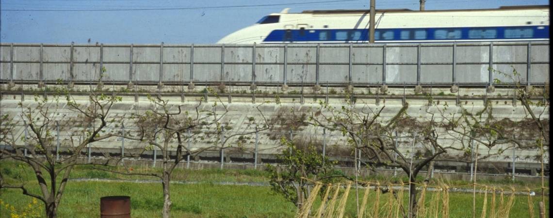 The Shinkansen